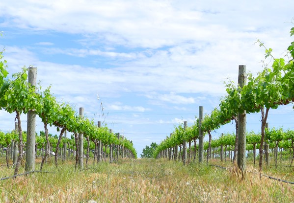 Barossa 3