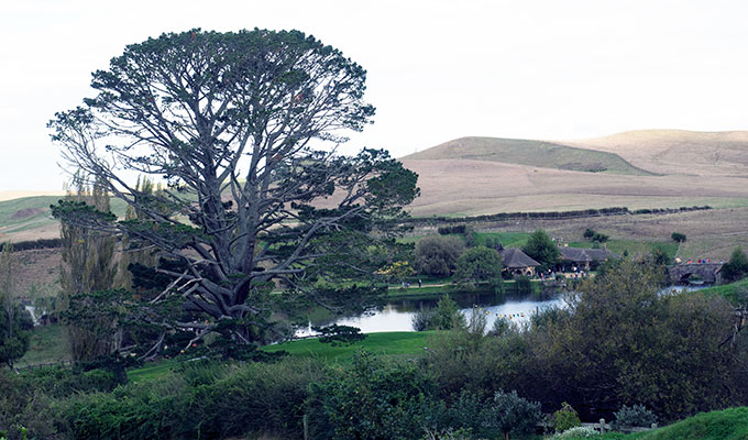 Hobbiton Movie Set