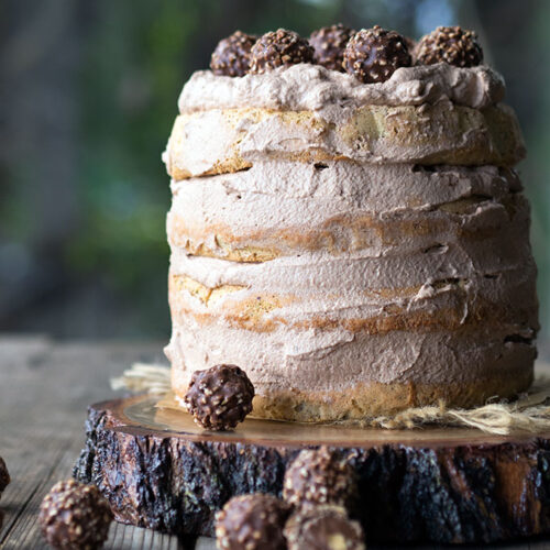 Chocolate Nutella Cake — What the Fruitcake?!