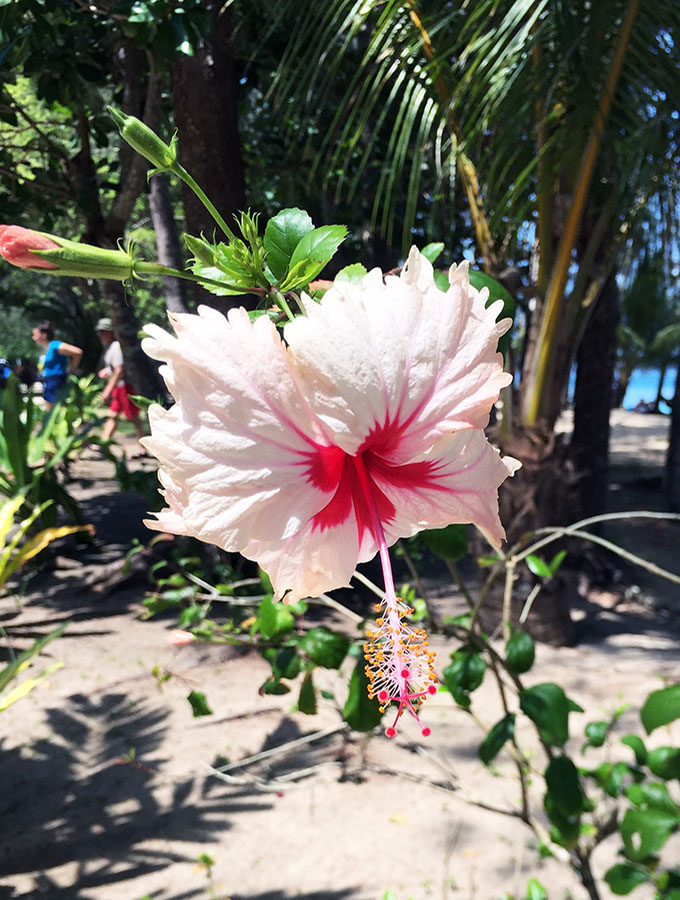 Islands of PNG - Doini Island