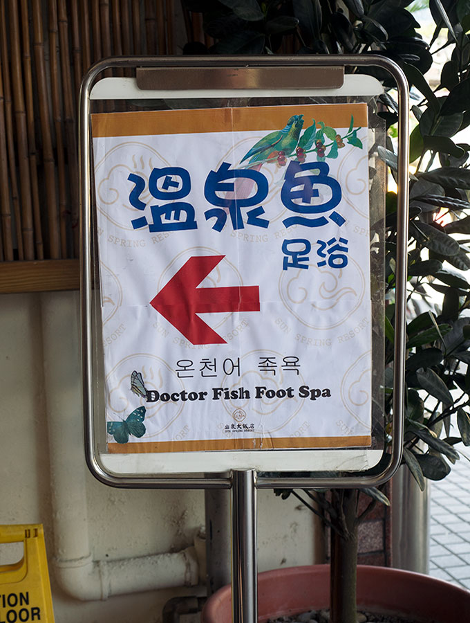 Dr Fish pedicure in Jiaoxi Taiwan. Where thousands of garra rufa fish nibble dead skin from your feet. How does it feel? Is it safe? I have my feet gummed so you can read all about it.