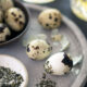 Quail Eggs with Oolong Tea Salt. A quick, easy and impressive dish to make for entertaining your guests. They will be impressed.
