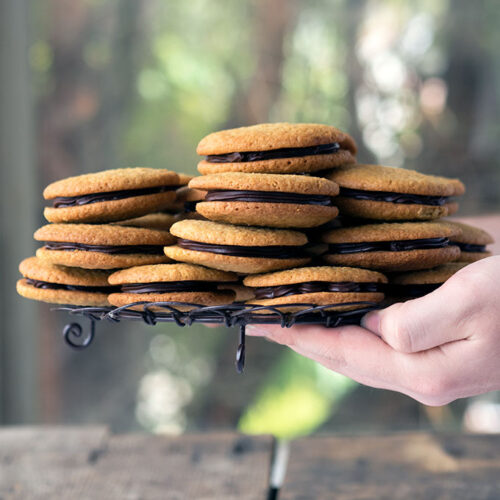 Coconut chocolate ganache cookie sandwiches are made from delicious buttery chewy coconut cookies, which are filled with decadent dark chocolate ganache