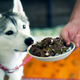 Dog Treat Recipe – Carob Rocky Road