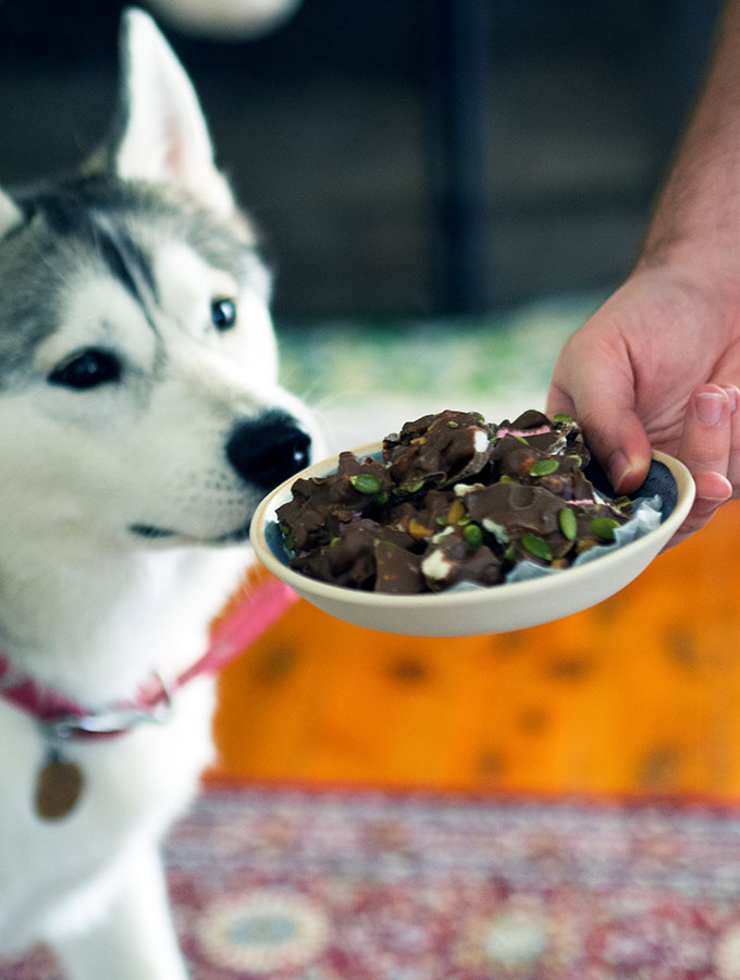 Dog Treat Recipe – Carob Rocky Road