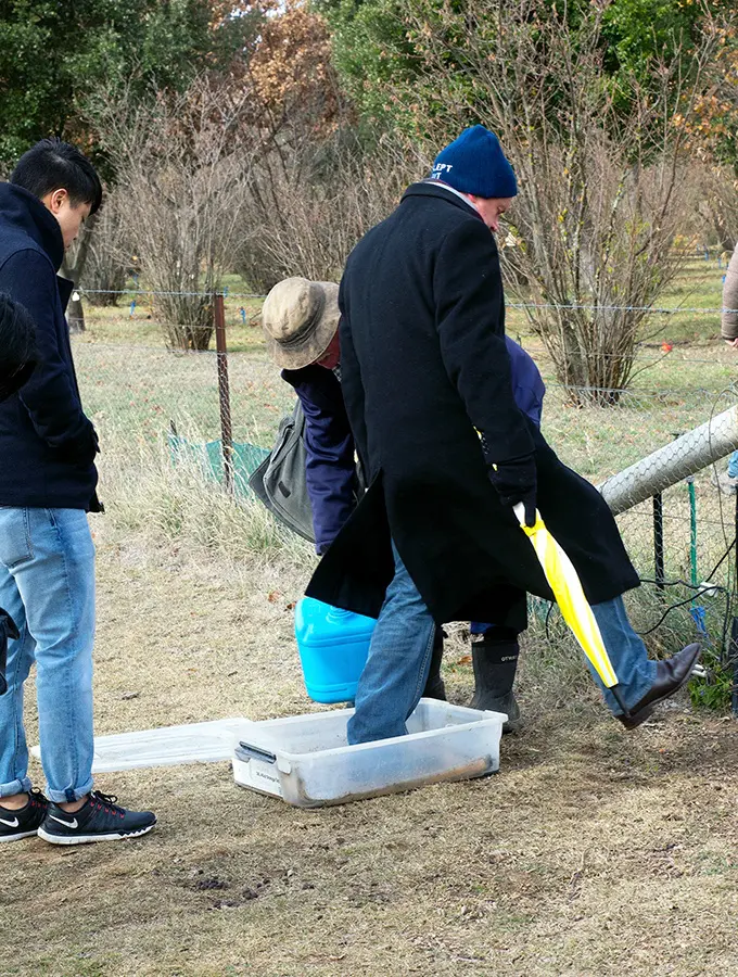 Walking through the foot bath before entering the truffiere