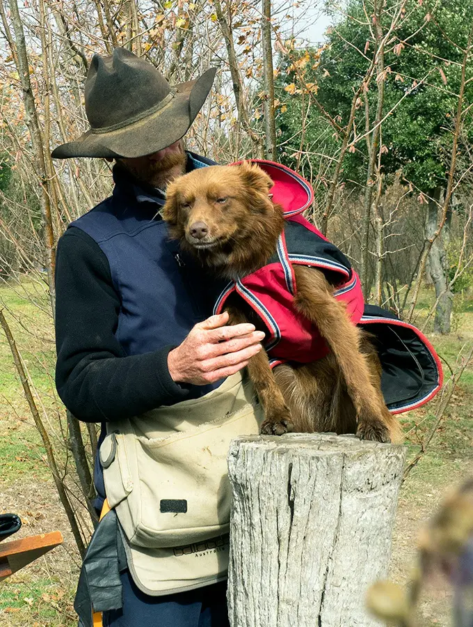 Blessing of the truffle dogs at Tarago truffles, Matt and Dusty.