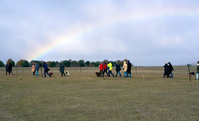 Truffle hunting at Tarago Truffles. The rainbow is pointing the direction.