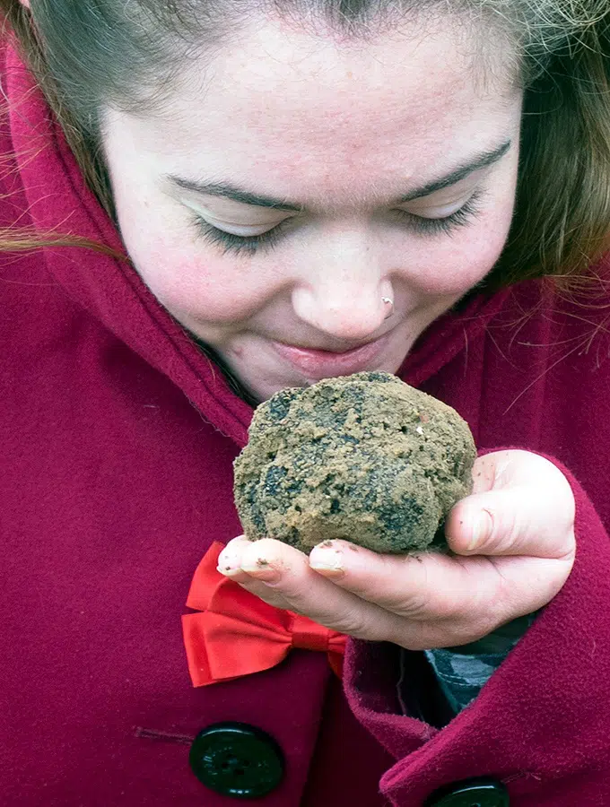 finding truffles as big as your head, Truffle hunting at Tarago Truffles