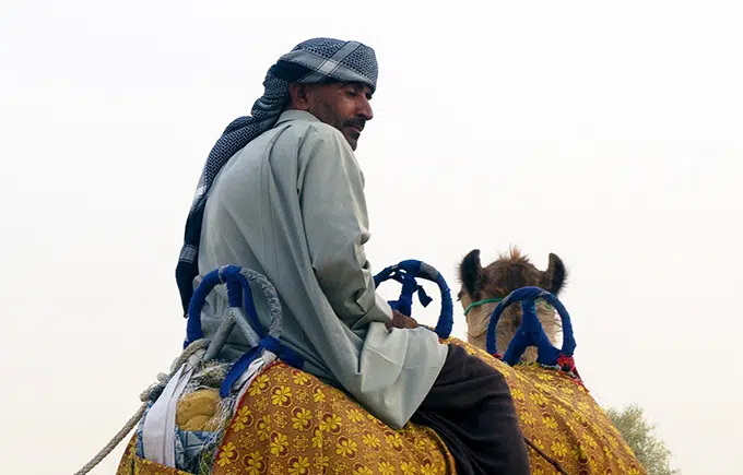 Camel rides in the Dubai Desert - Bab Al Shams Resort and Spa