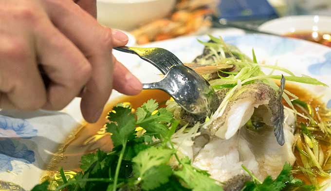 steamed coral trout with soy sauce