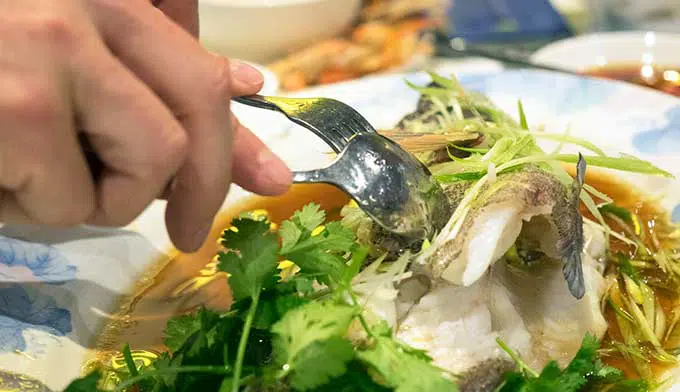 steamed coral trout with soy sauce 