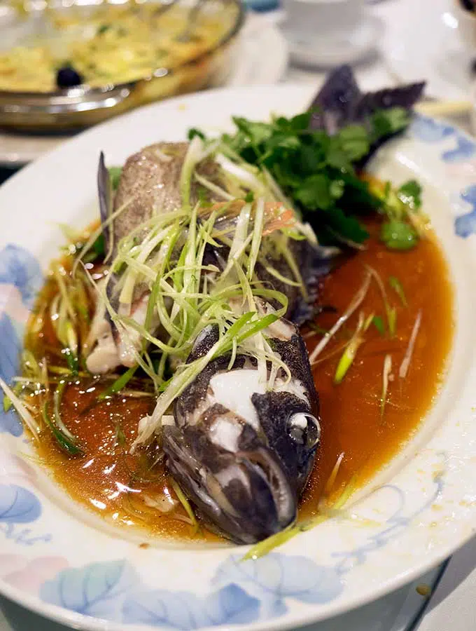 macanese cuisine steamed coral trout with soy sauce, green onion and corriander