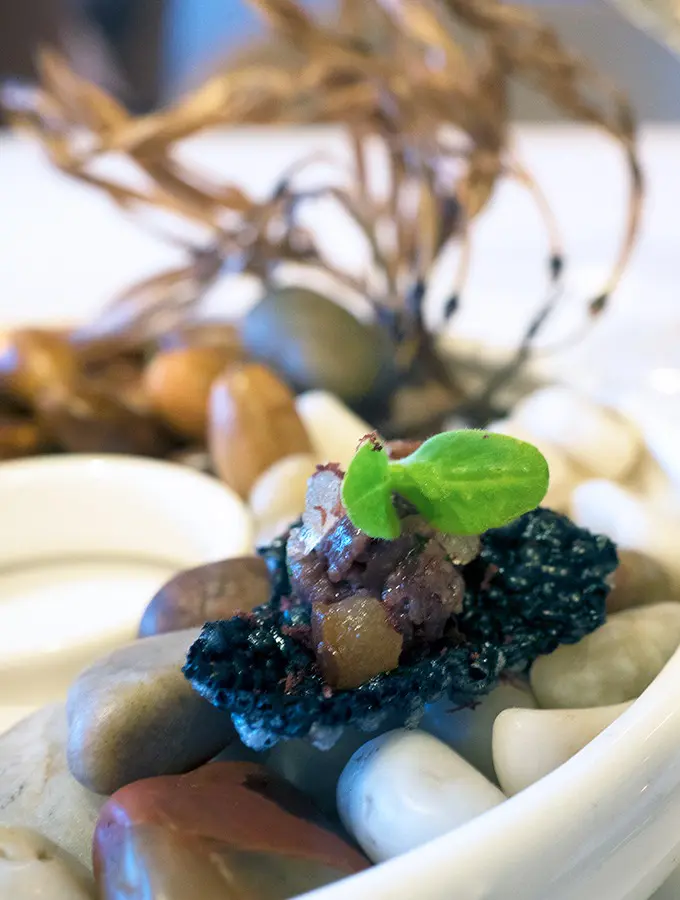 venison tartare served on acorns