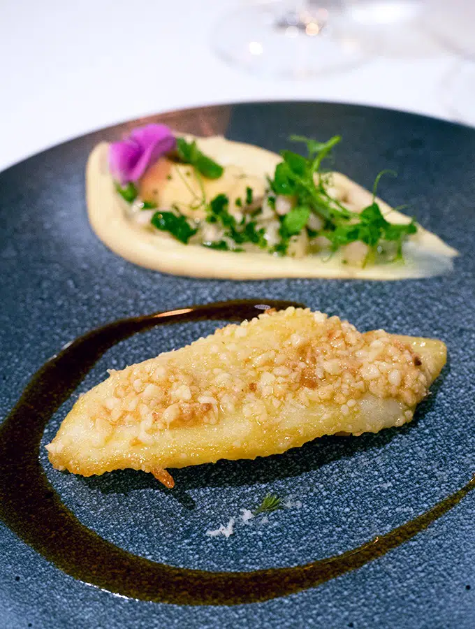 Hauraki Gulf John Dory, macadamia, cauliflower, tuatua fricassee