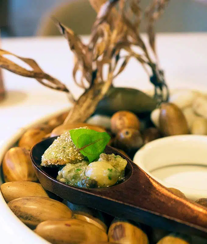 schnitzeled lamb's tongue on a spoon