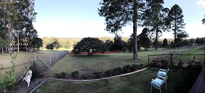 view of the backyard of the dog house port macquarie