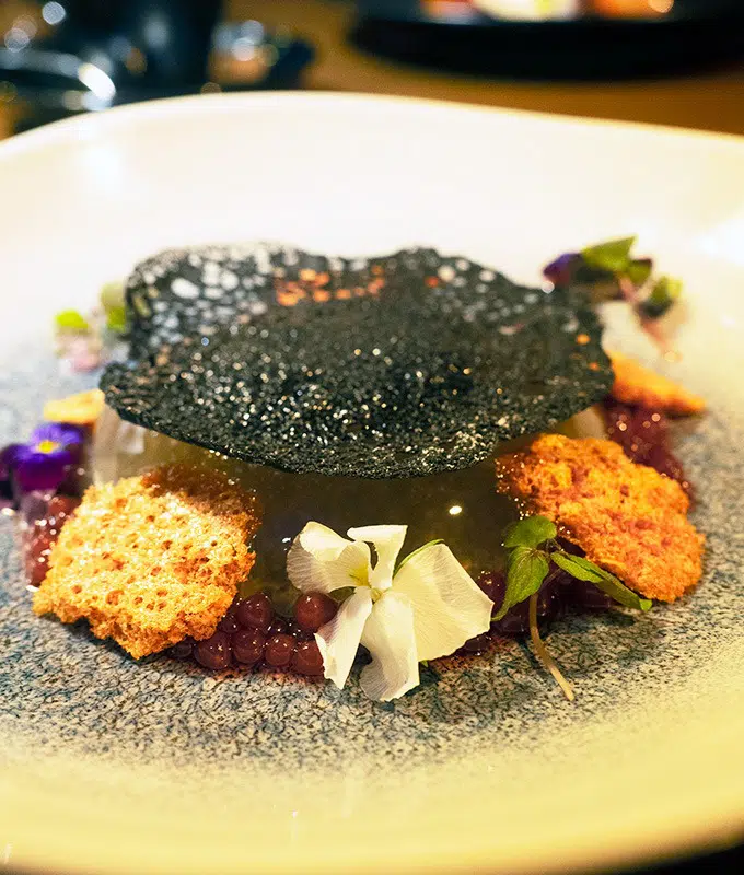 watermelon jelly on a plate surrounded by flowers, honeycomb and topped with a charcoal tuile