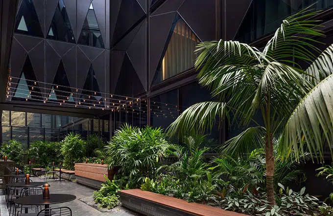 green plants in the atrium of the west hotel sydney