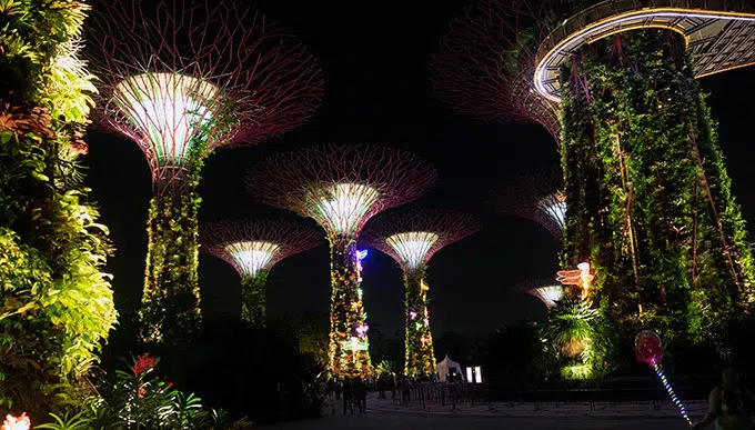 tall fake trees lit up at night