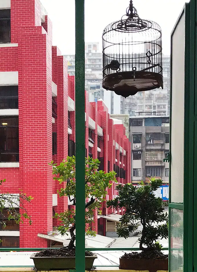 Long Va Tea House in Macao - view of Red Market