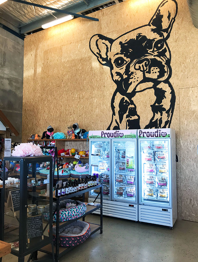 large drawing of a pug dog on the wall and items in the shop