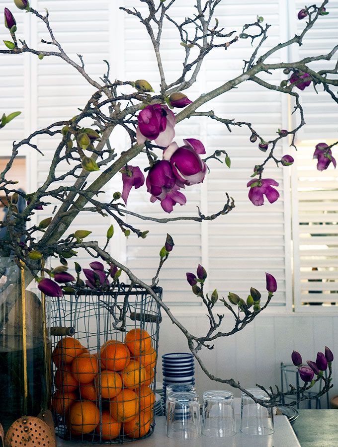 pink magnolias in a vase with a basket of oranges in front