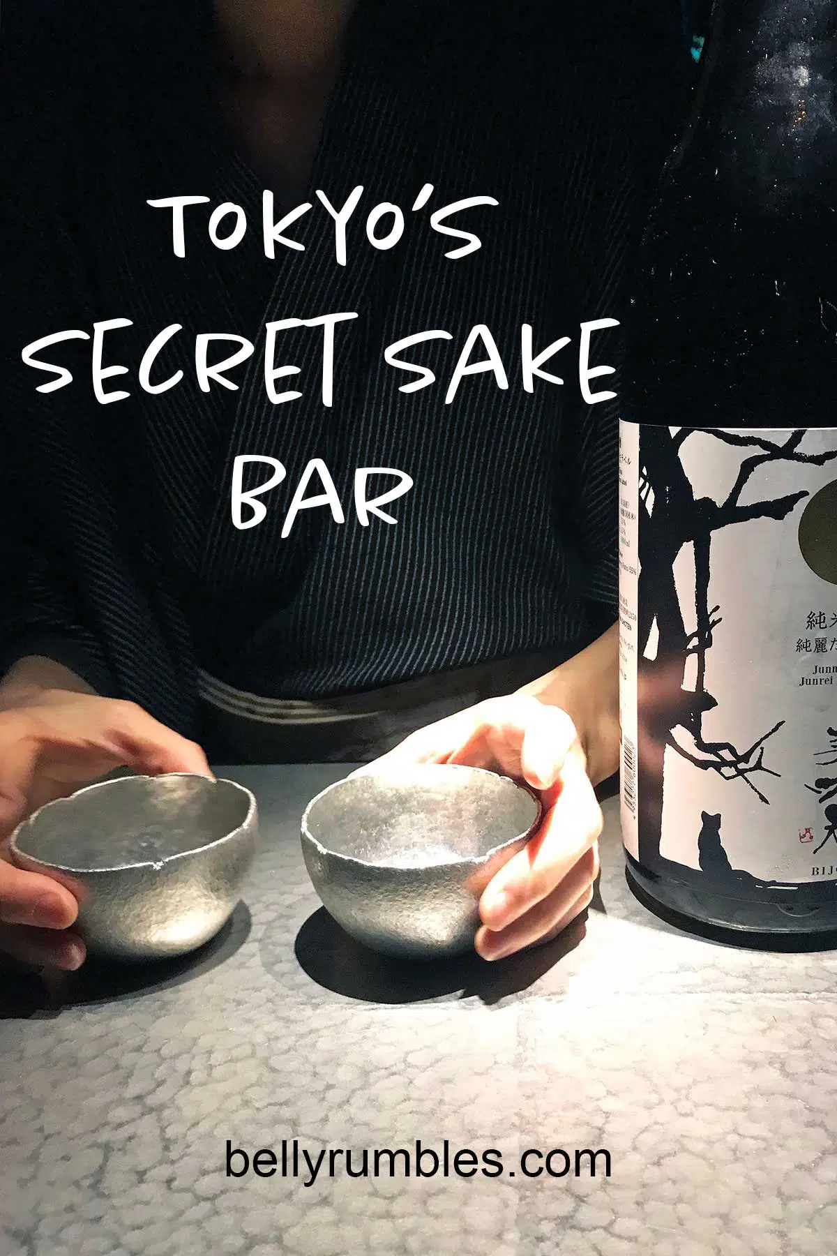 pinterest pin for sake bar o