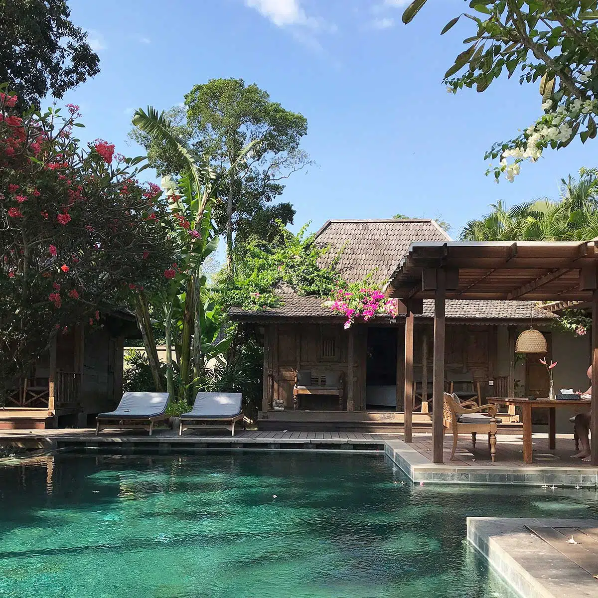 villa amore seminyak villa pool and surrounds