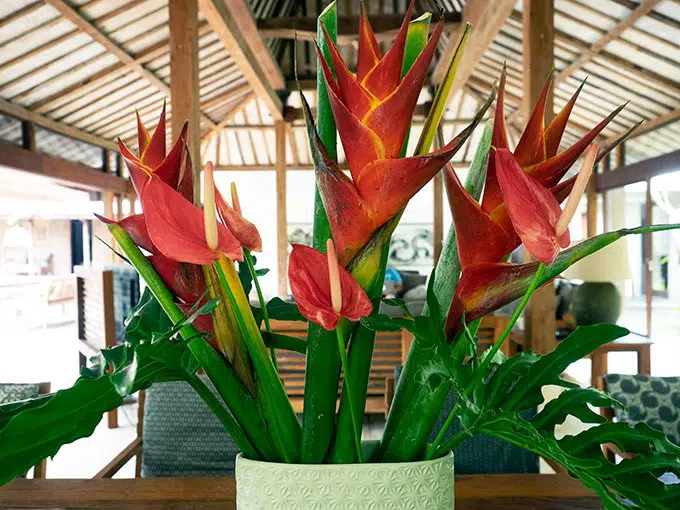 flowers in a vase on dining table