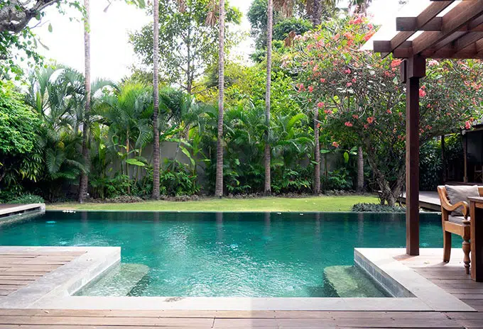 stairs into pool with palm trees in the back ground