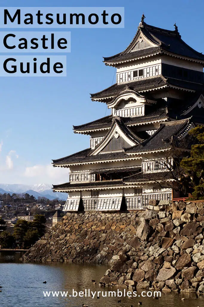 image of matsumoto castle with the moat in front and ducks