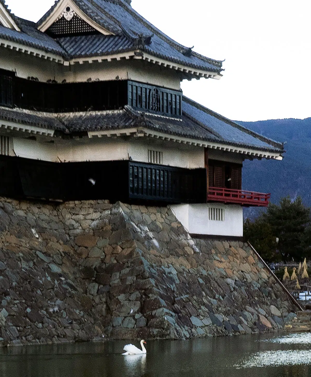 close up of the castle with a swan in the moat