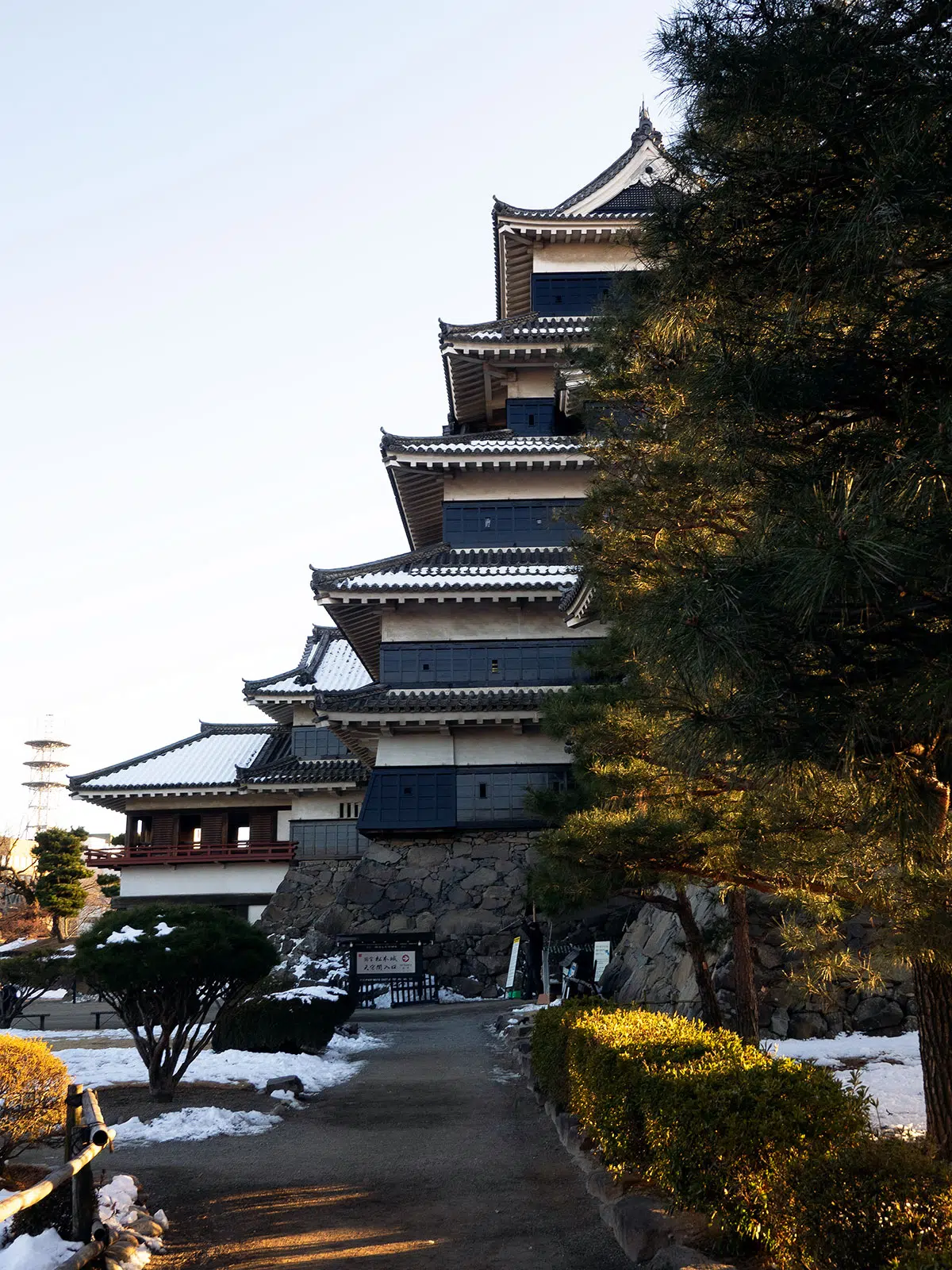 image of half the castle and a tree in front of it