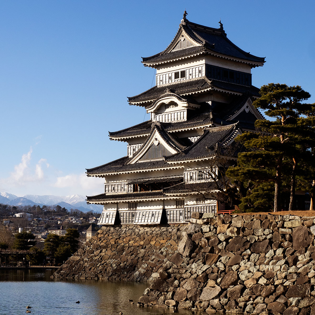 Matsumoto castle with moat and ducks.