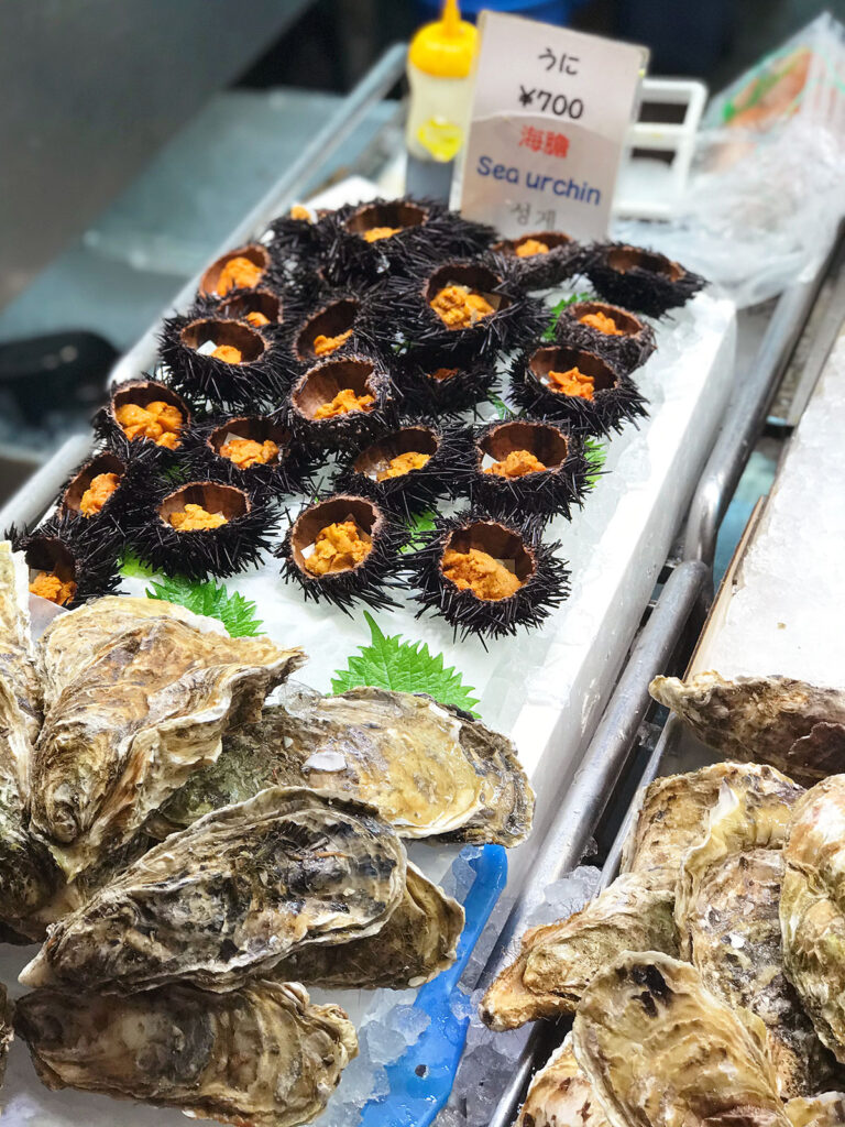 sea urchin ready to buy and eat and large oysters in the shell