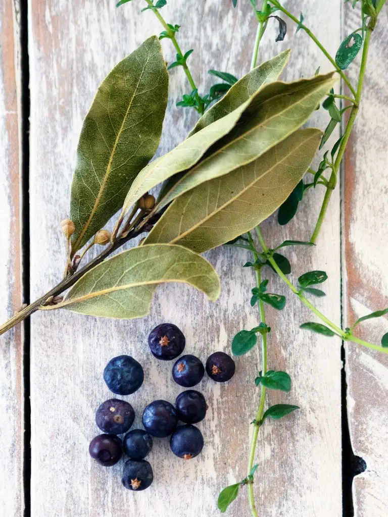 dried bay leaves, fresh thyme sprigs and juniper berries