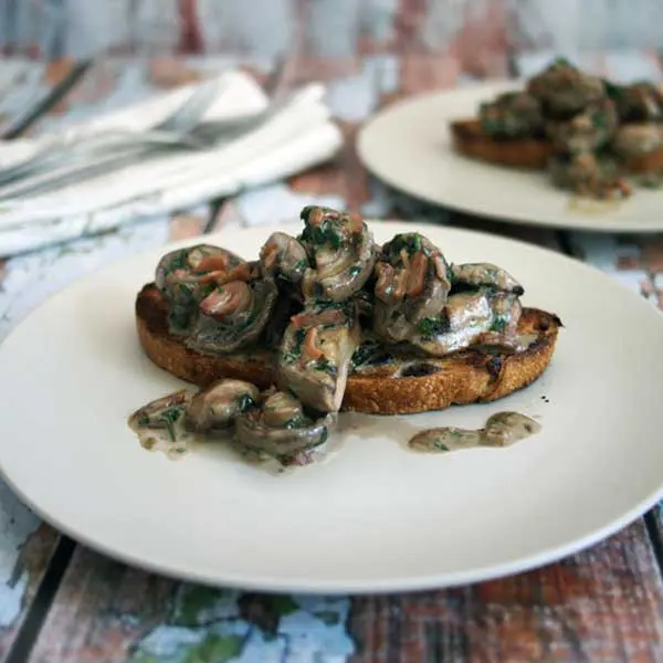 Creamy mushrooms on toast, served on a white plate wooden background