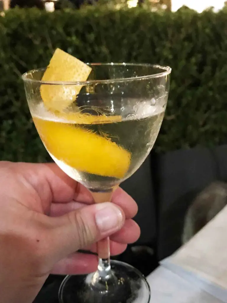 holding a glass of martini with a twist of lemon