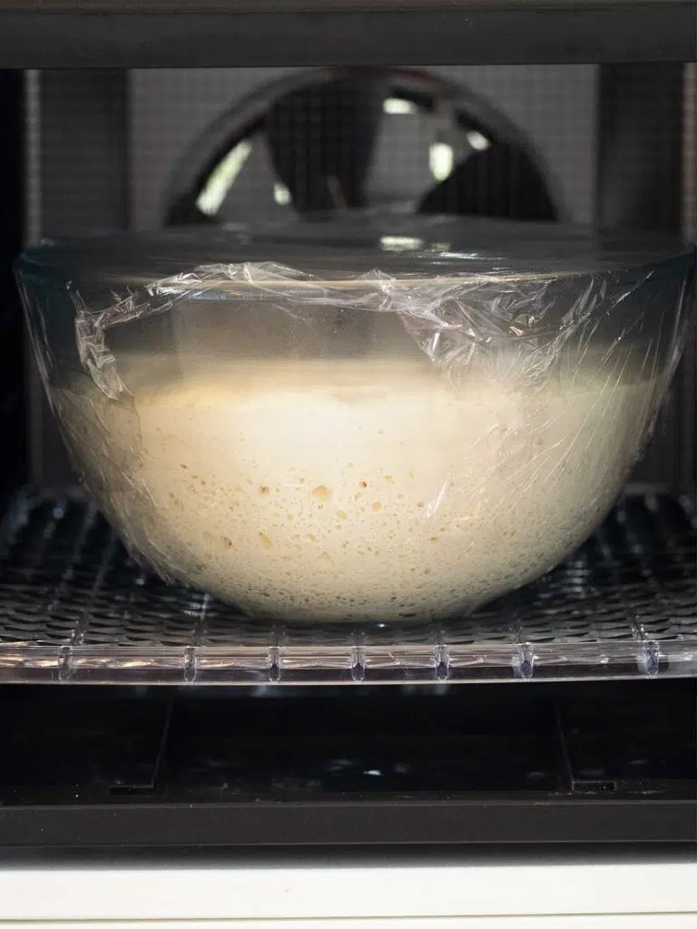 dough rising in a dehydrator