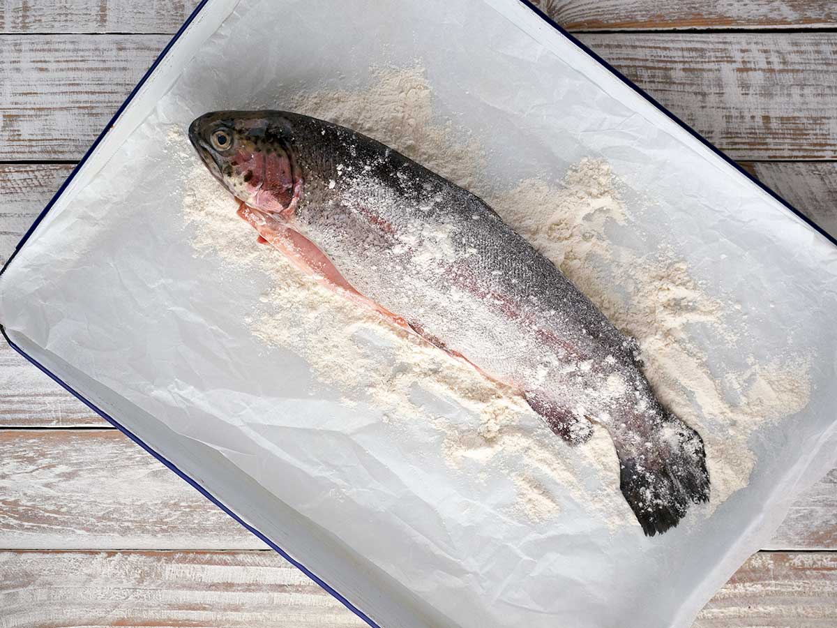 Classic Trout Almondine (Amandine) Belly Rumbles