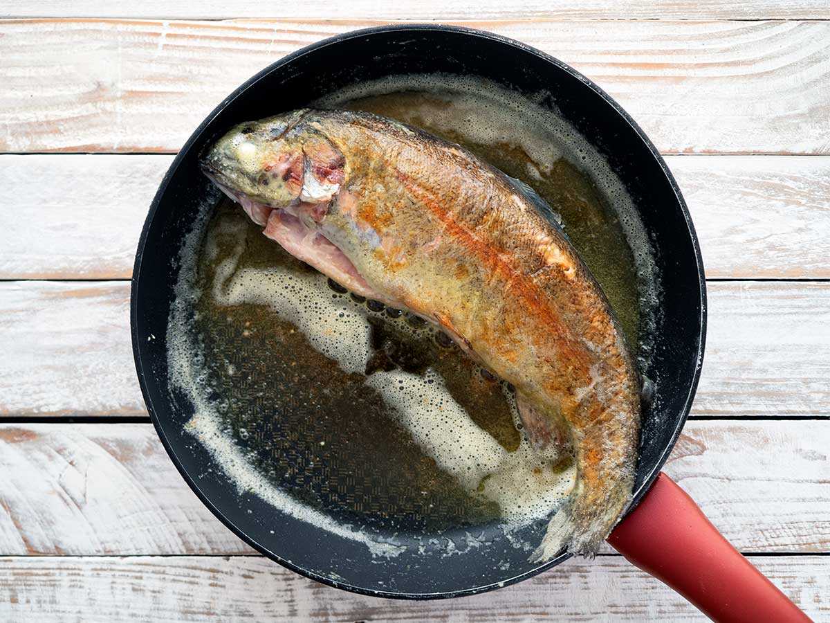 Classic Trout Almondine (Amandine) Belly Rumbles