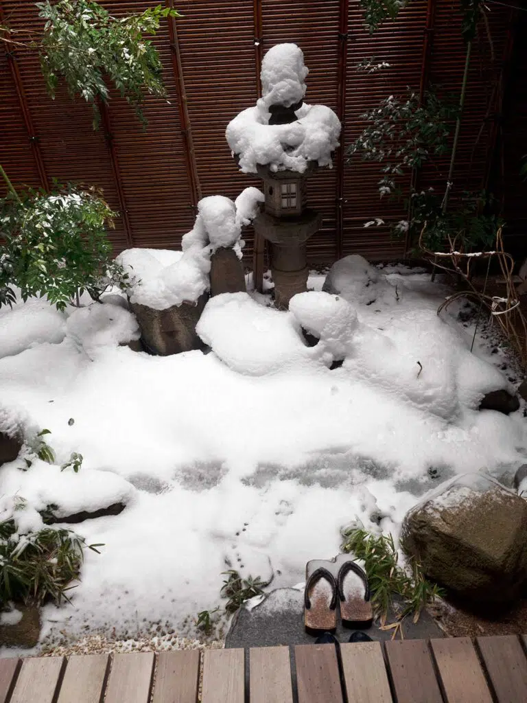 garden covered in snow