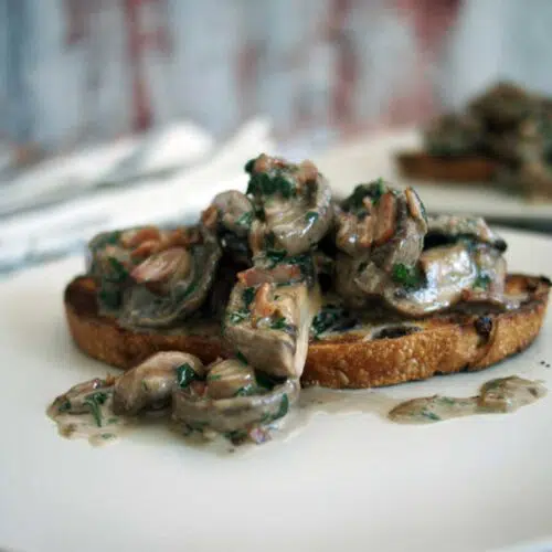 Sourdough toast topped with creamy mushrooms on a white plate.