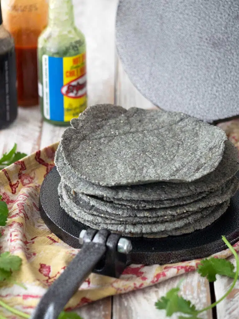 stack of cooked blue corn tortillas