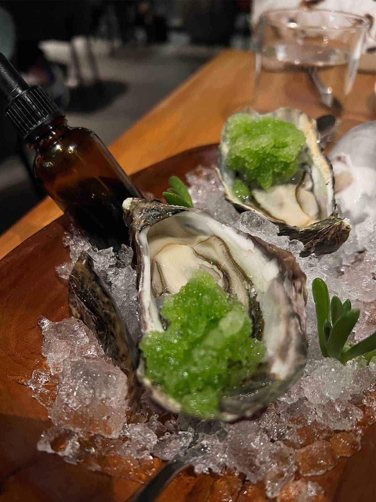 Freshly shucked oysters with cucumber and fresh sorrel ice on a bed of ice.