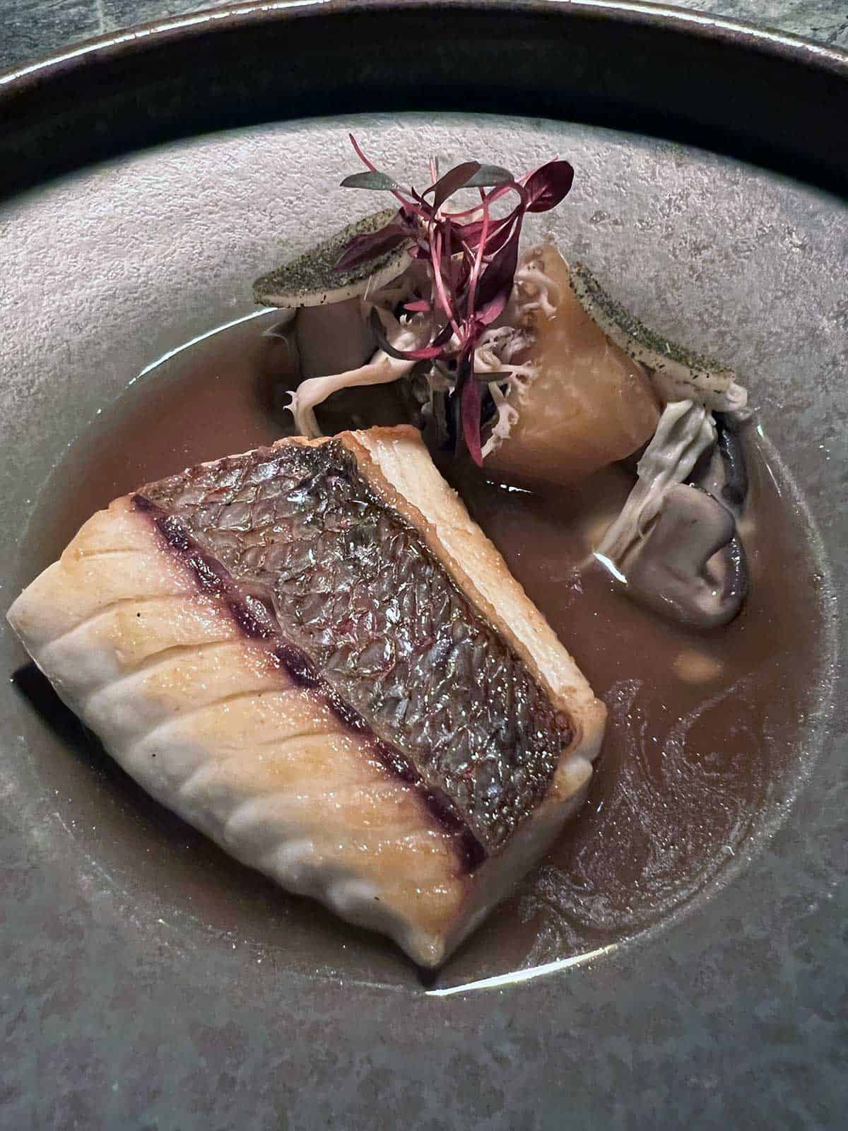 Seared fillet of tauwhiro fish and broth.