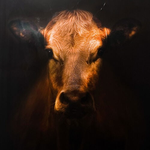 Bessie Restaurant Christchurch.