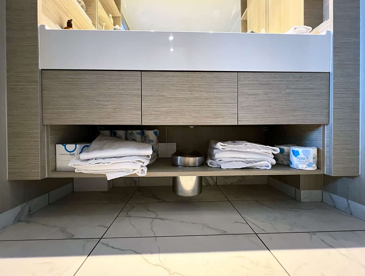 Toilet paper, towels, and tissues stowed under the vanity.