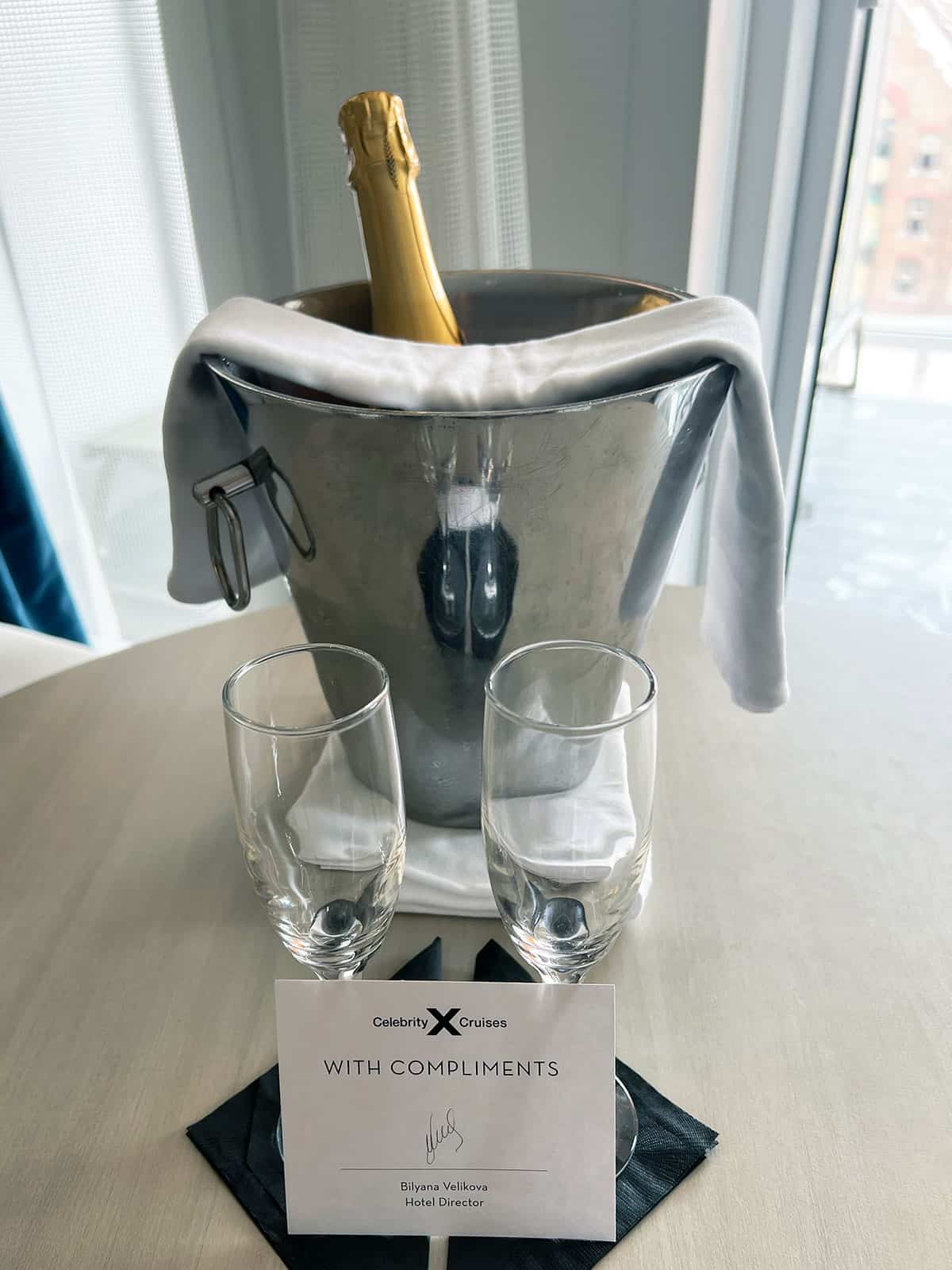 Ice bucket with two glasses and a bottle of champagne.